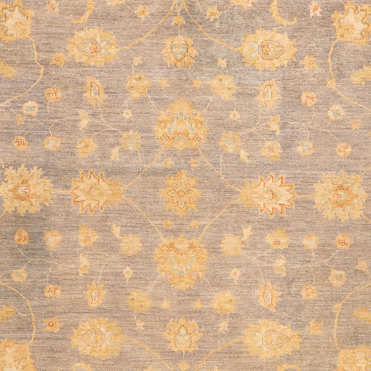 Tapis Ziegler - 351 x 254 cm - beige