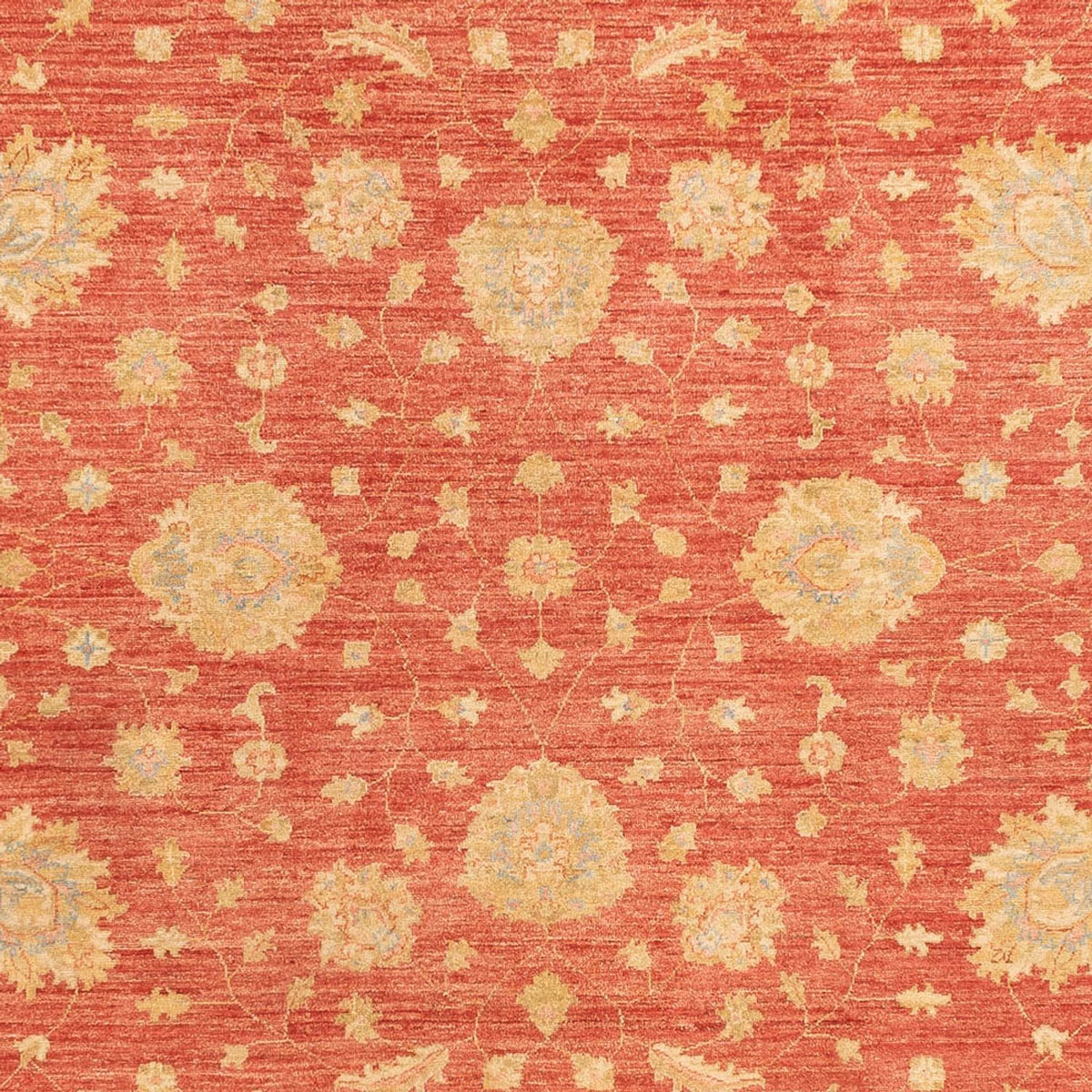 Tapis Ziegler - 344 x 257 cm - rouge