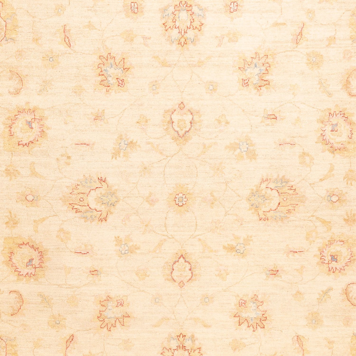 Tapis Ziegler - 338 x 251 cm - beige