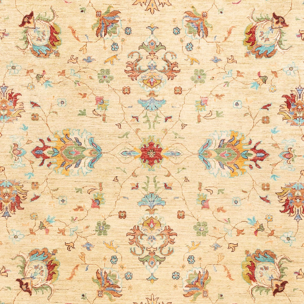 Tapis Ziegler - Ariana - 346 x 241 cm - beige