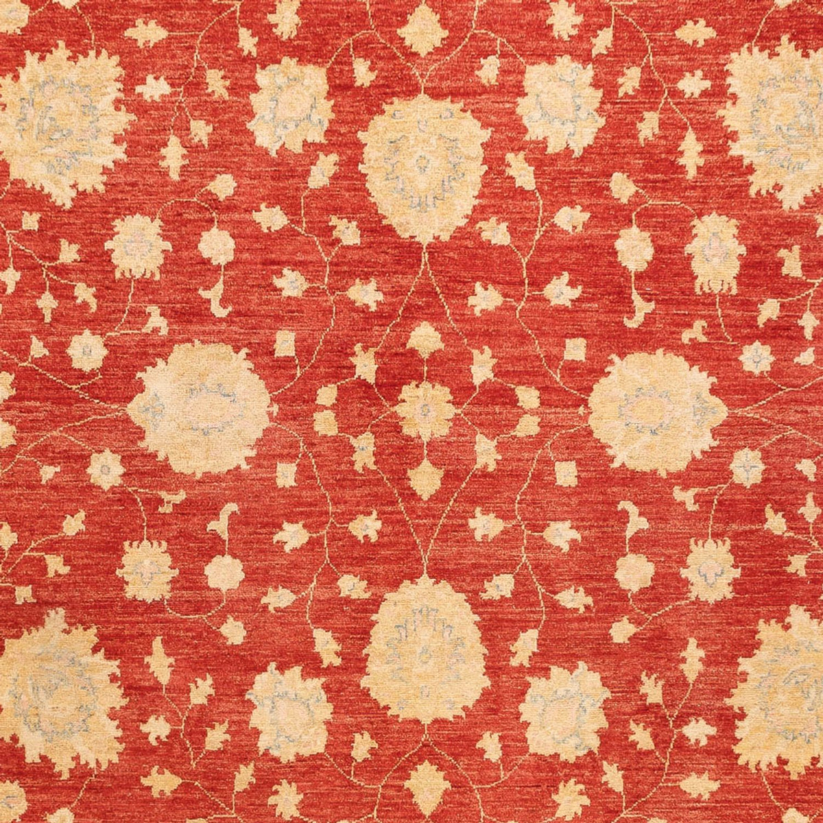 Tapis Ziegler - 355 x 254 cm - rouge