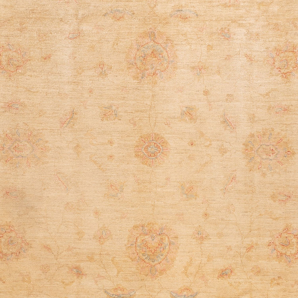 Tapis Ziegler - 350 x 252 cm - beige