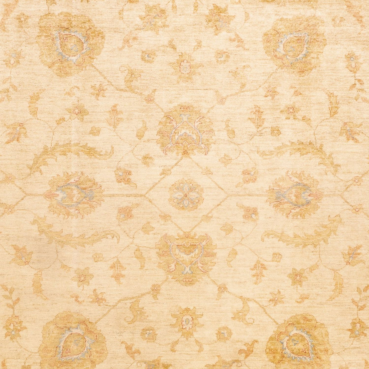 Tapis Ziegler - 345 x 255 cm - beige