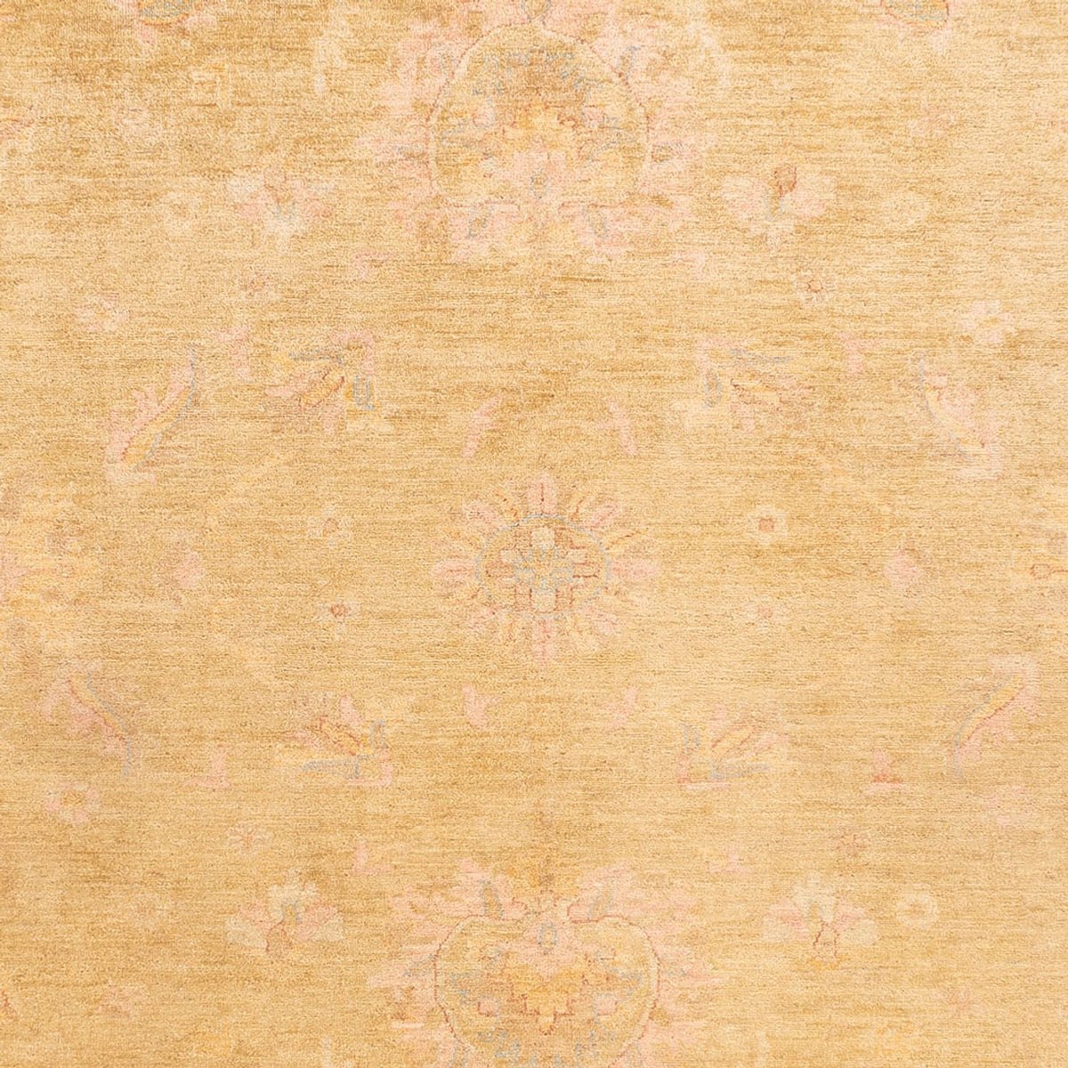 Tapis Ziegler - 348 x 260 cm - beige