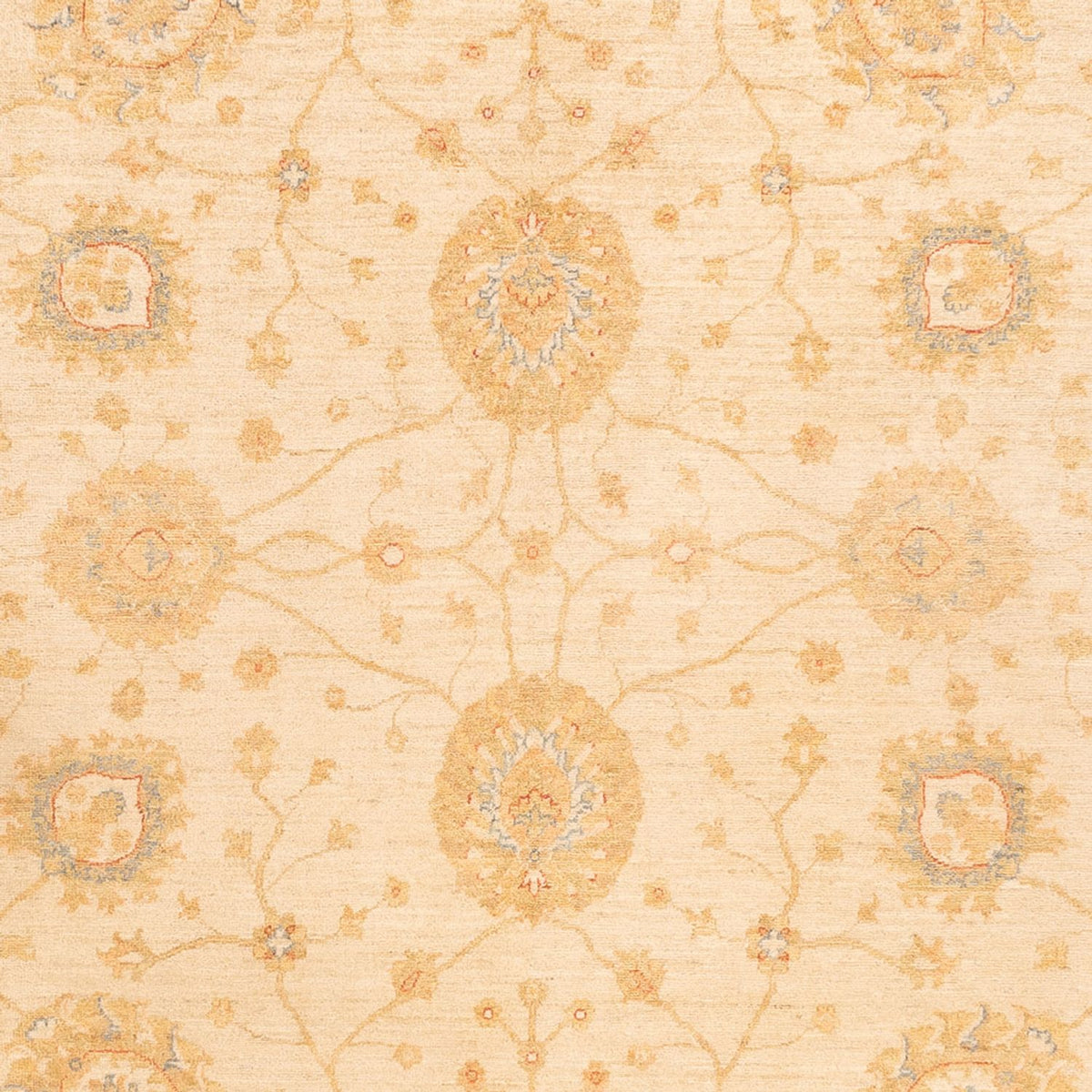 Tapis Ziegler - 325 x 250 cm - beige