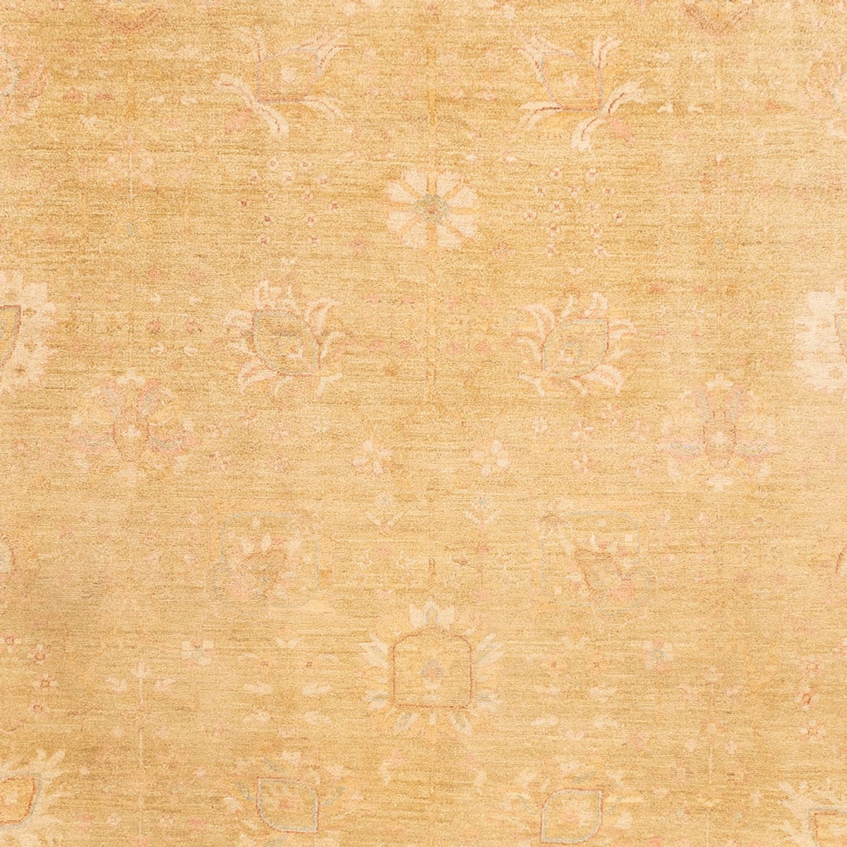 Tapis Ziegler - 339 x 258 cm - beige