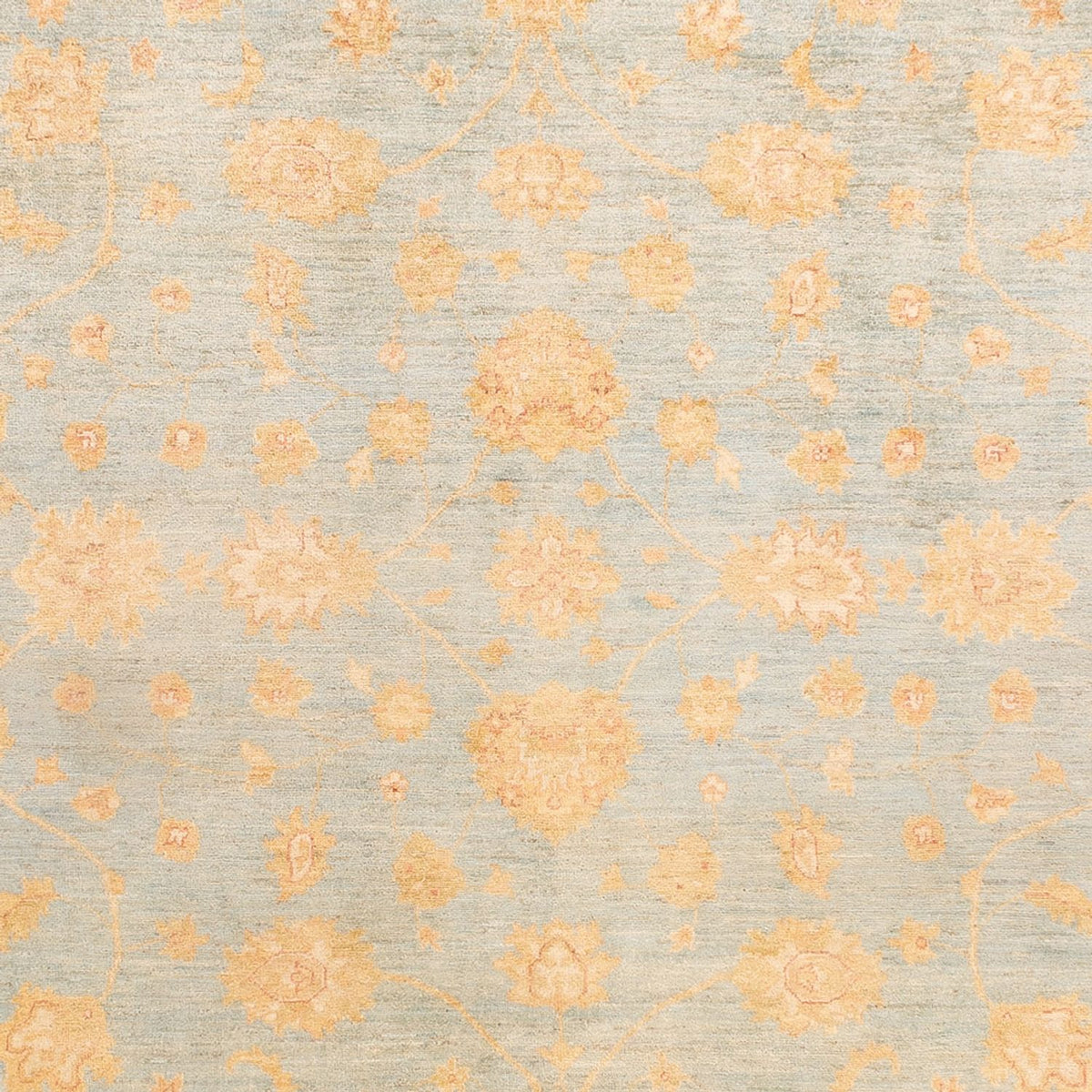 Tapis Ziegler - 342 x 257 cm - bleu clair