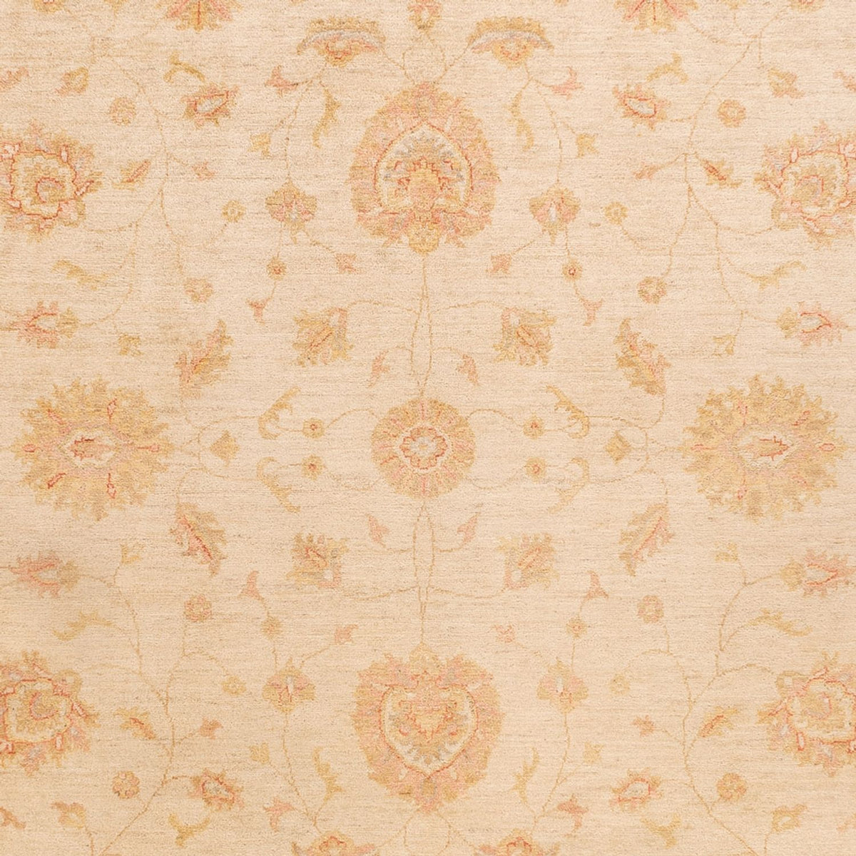 Tapis Ziegler - 346 x 257 cm - beige