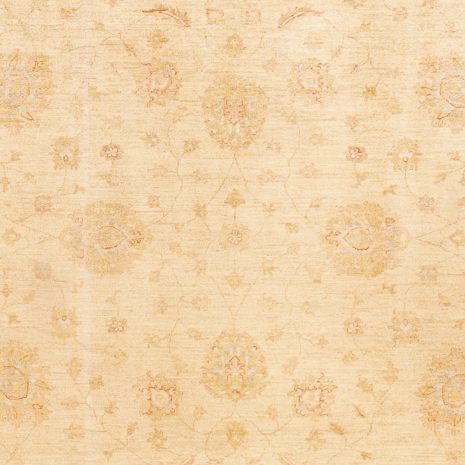 Tapis Ziegler - 348 x 257 cm - beige