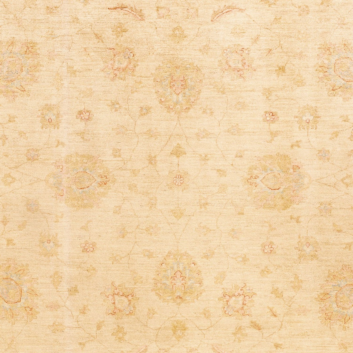 Tapis Ziegler - 348 x 257 cm - beige