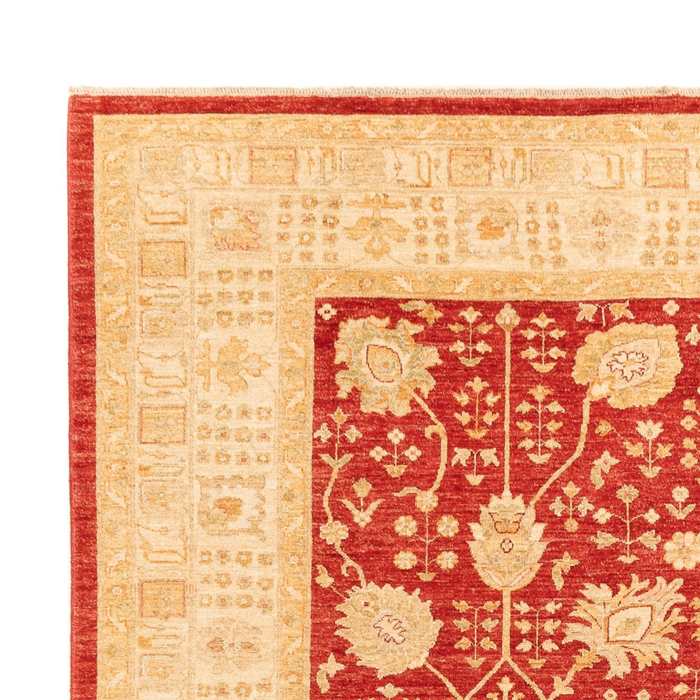 Tapis Ziegler 340x254cm - Tapis oriental