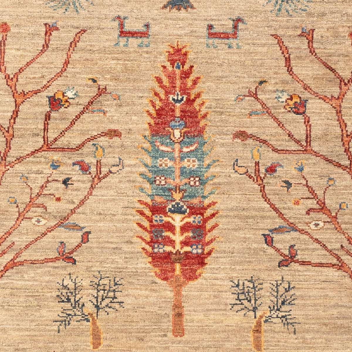 Tapis Ziegler - Ariana - 178 x 122 cm - beige