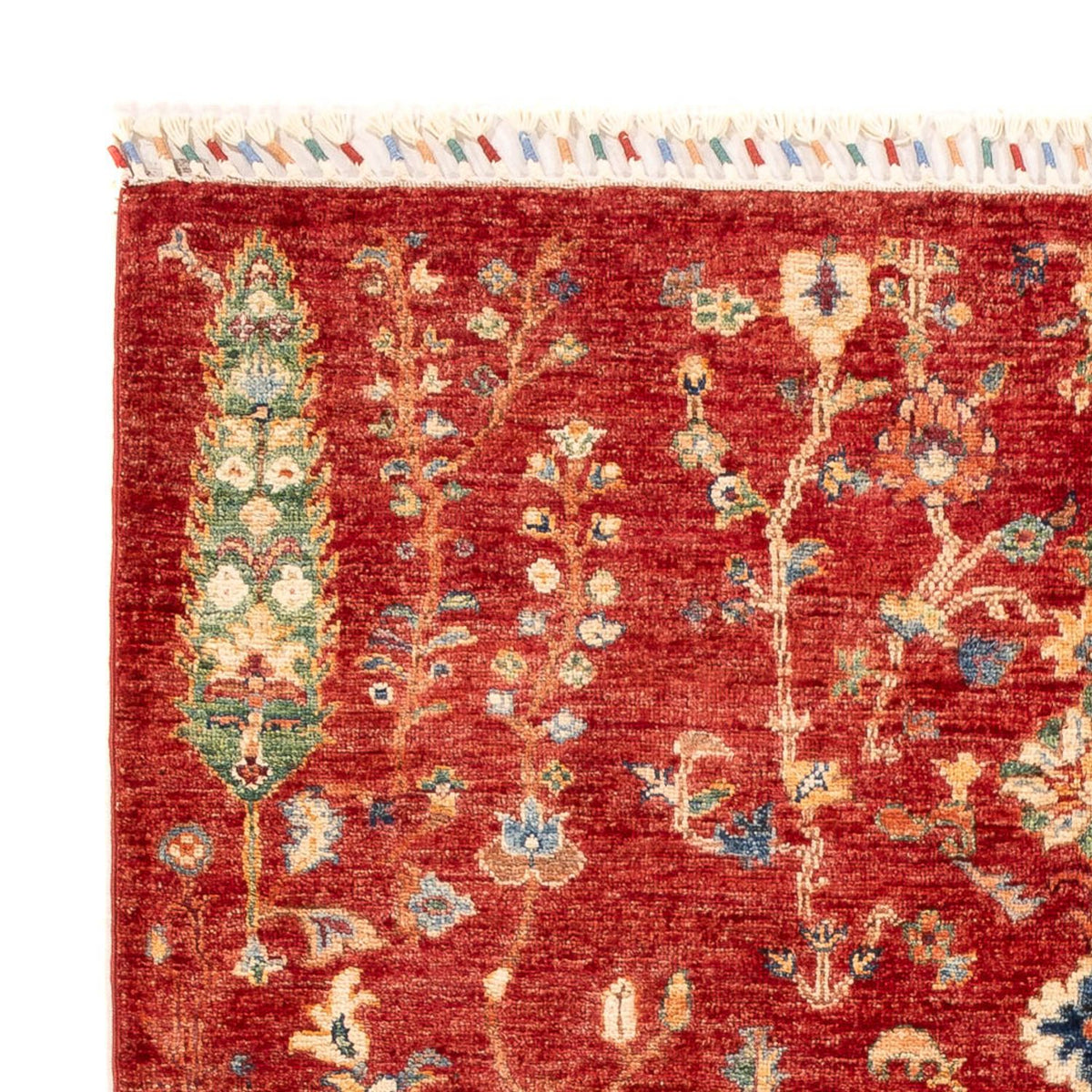 Tapis Ziegler - Ariana - 177 x 123 cm - rouge