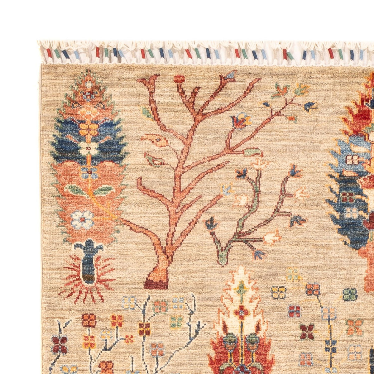 Tapis Ziegler - Ariana - 180 x 119 cm - multicolore