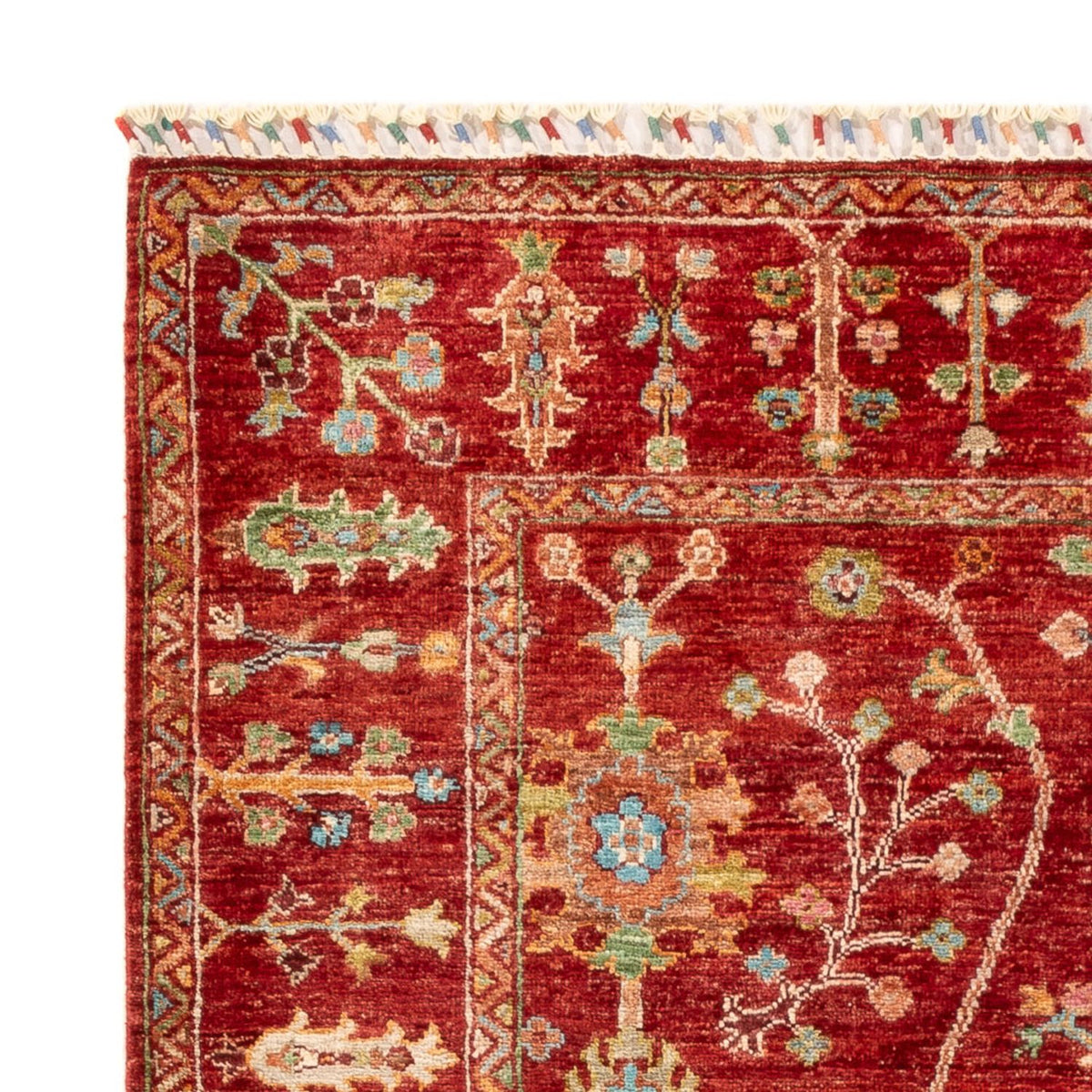 Tapis Ziegler - Ariana - 180 x 125 cm - rouge