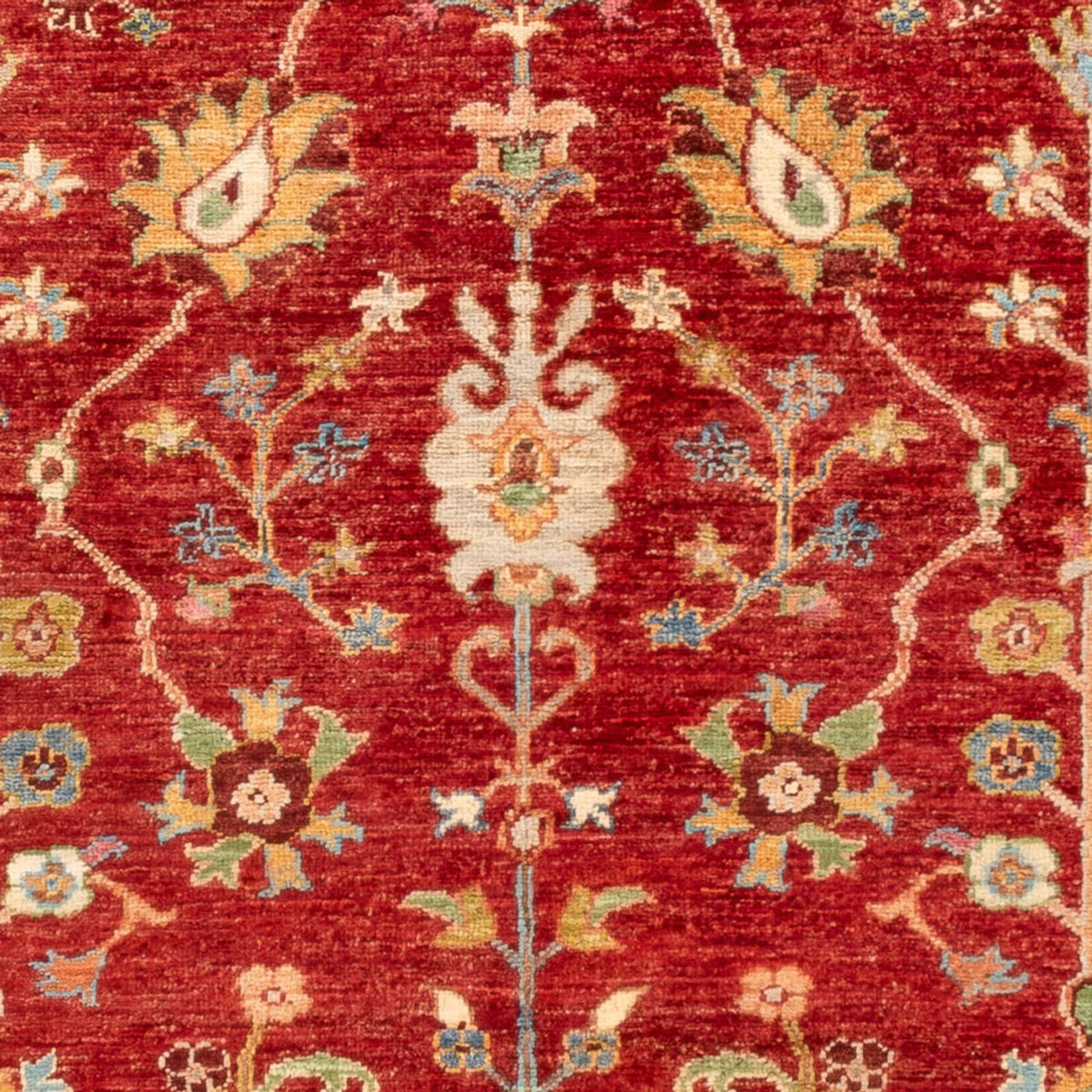 Tapis Ziegler - Ariana - 175 x 125 cm - rouge