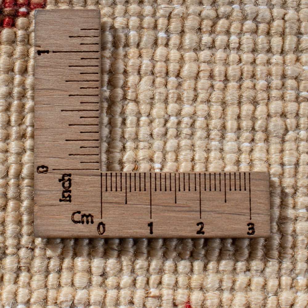 Tapis Ziegler - Ariana - 299 x 209 cm - multicolore