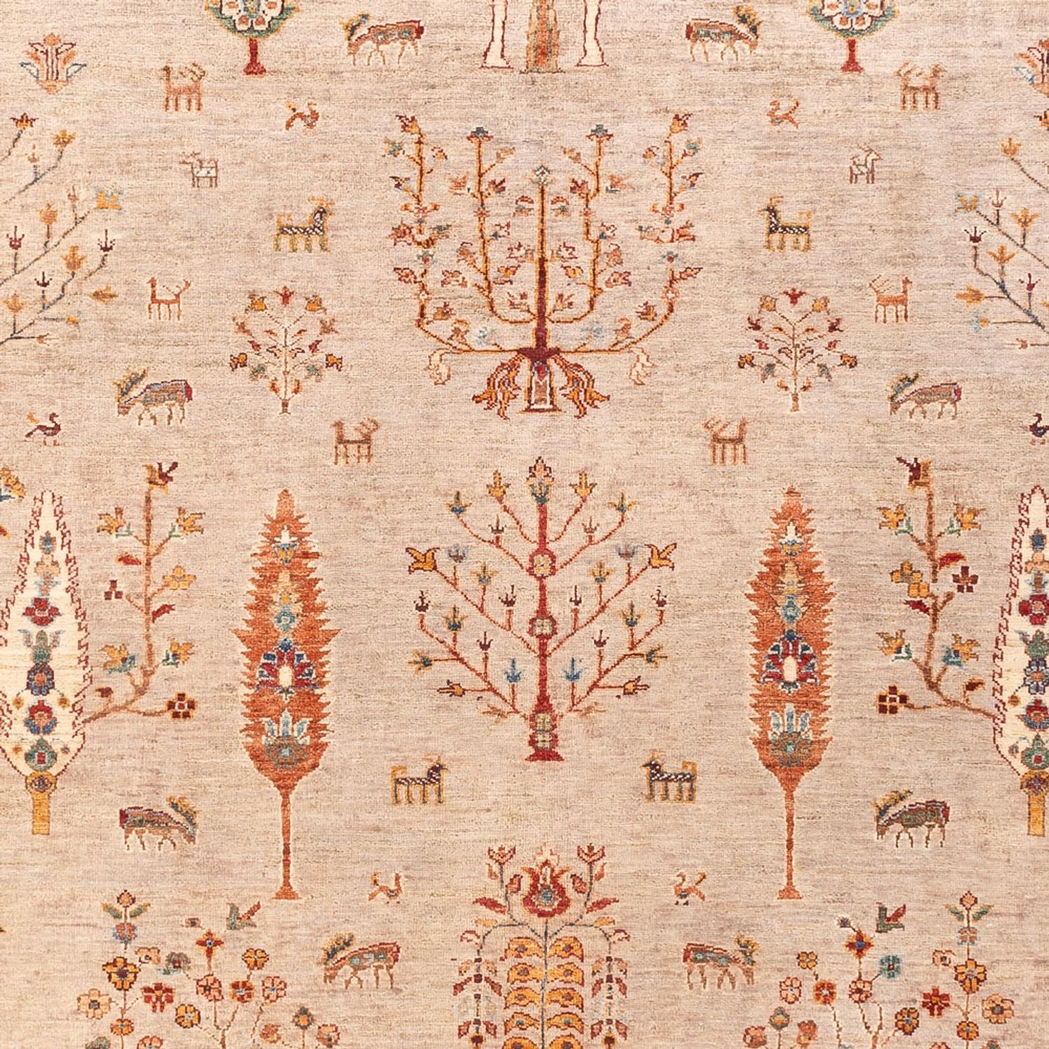 Tapis Ziegler - Ariana - 292 x 204 cm - rose