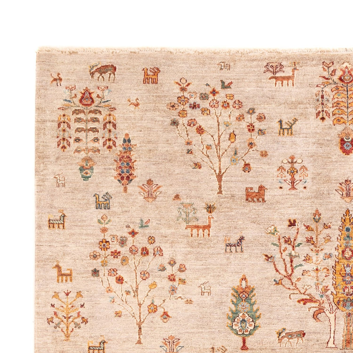 Tapis Ziegler - Ariana - 292 x 204 cm - rose