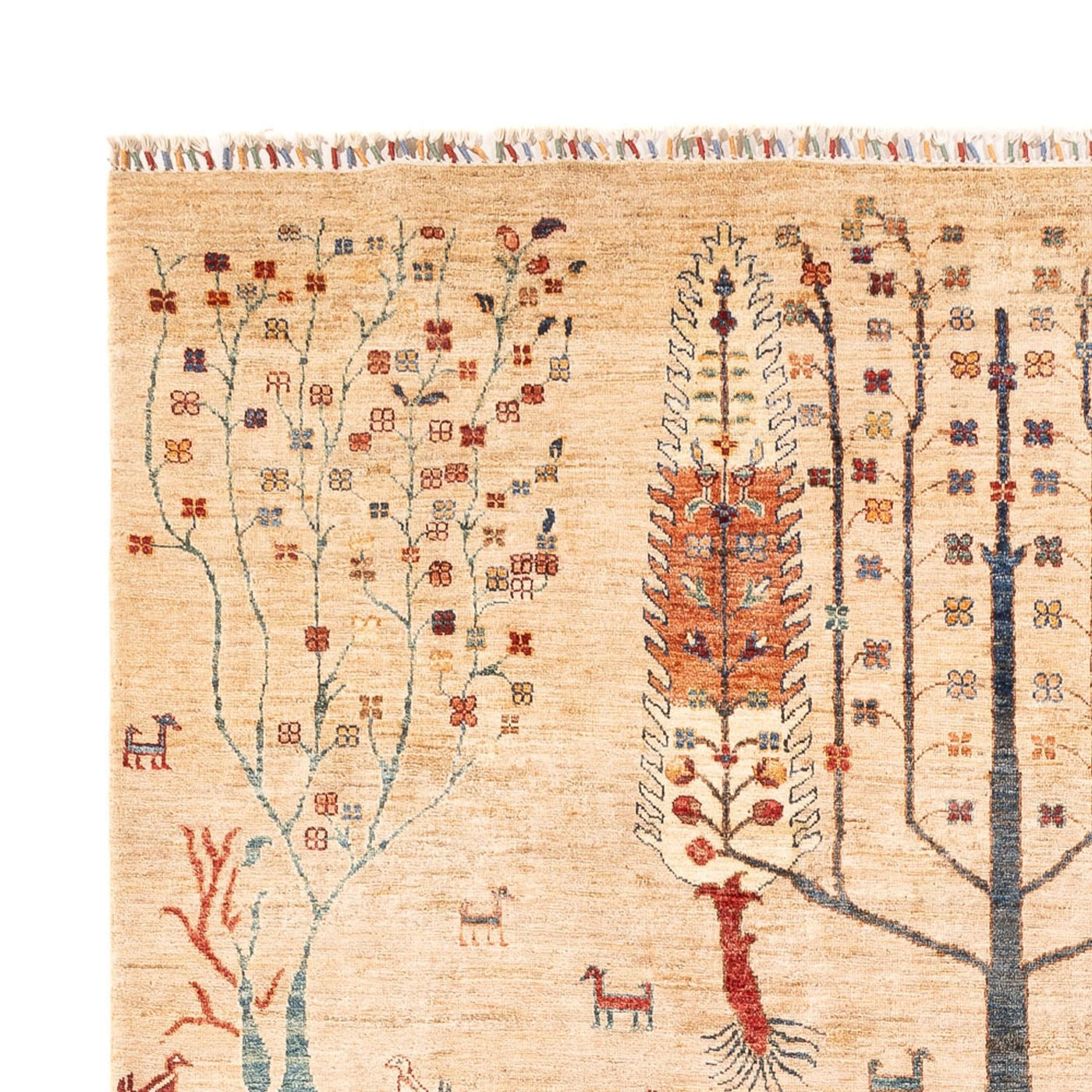Ariana Tapis 303x204cm - Tapis oriental