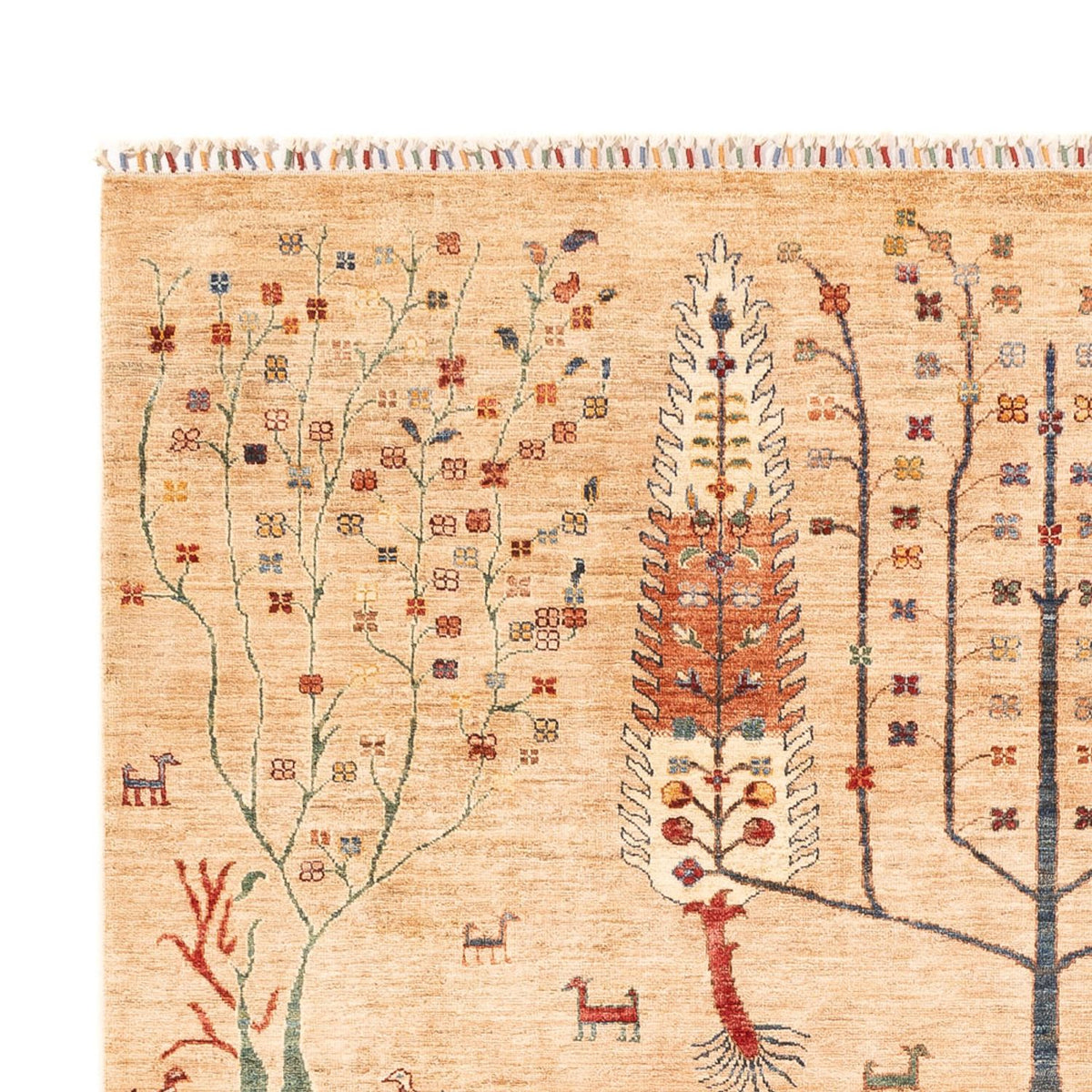 Tapis Ziegler - Ariana - 295 x 204 cm - multicolore