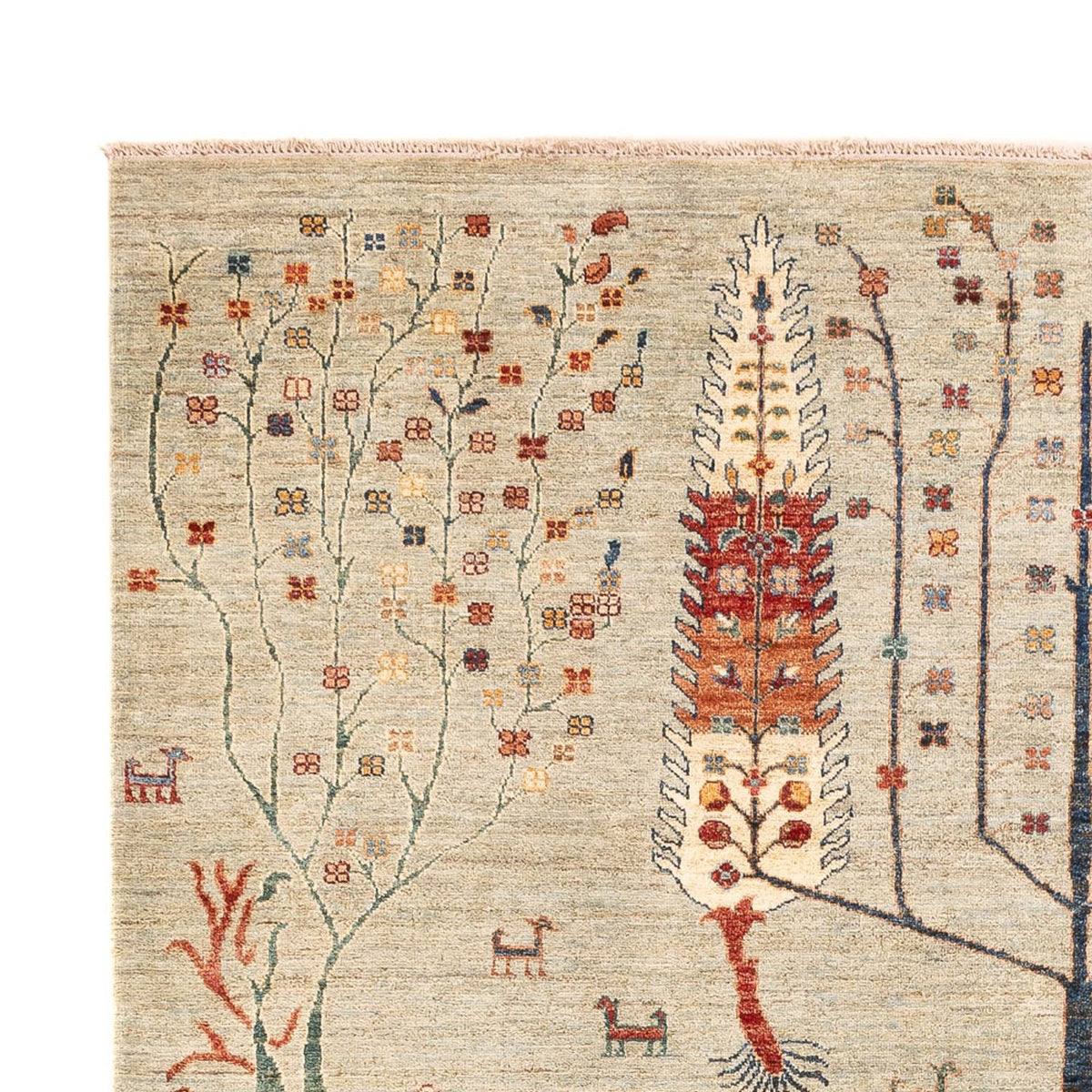 Tapis Ziegler - Ariana - 292 x 207 cm - gris clair