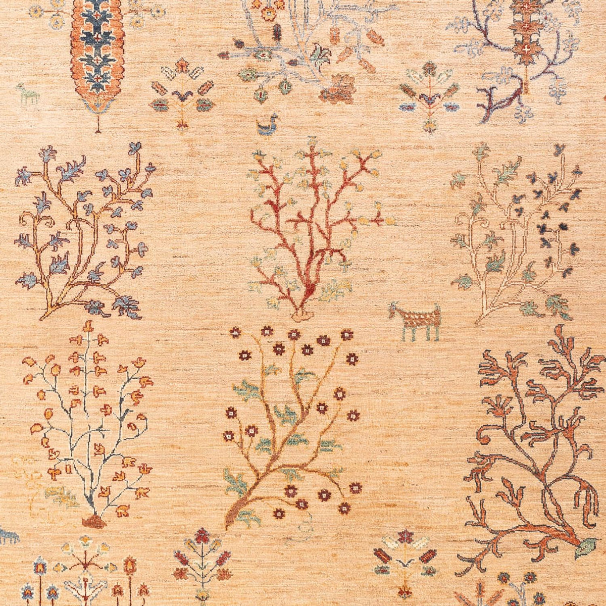 Tapis Ziegler - Ariana - 293 x 206 cm - beige