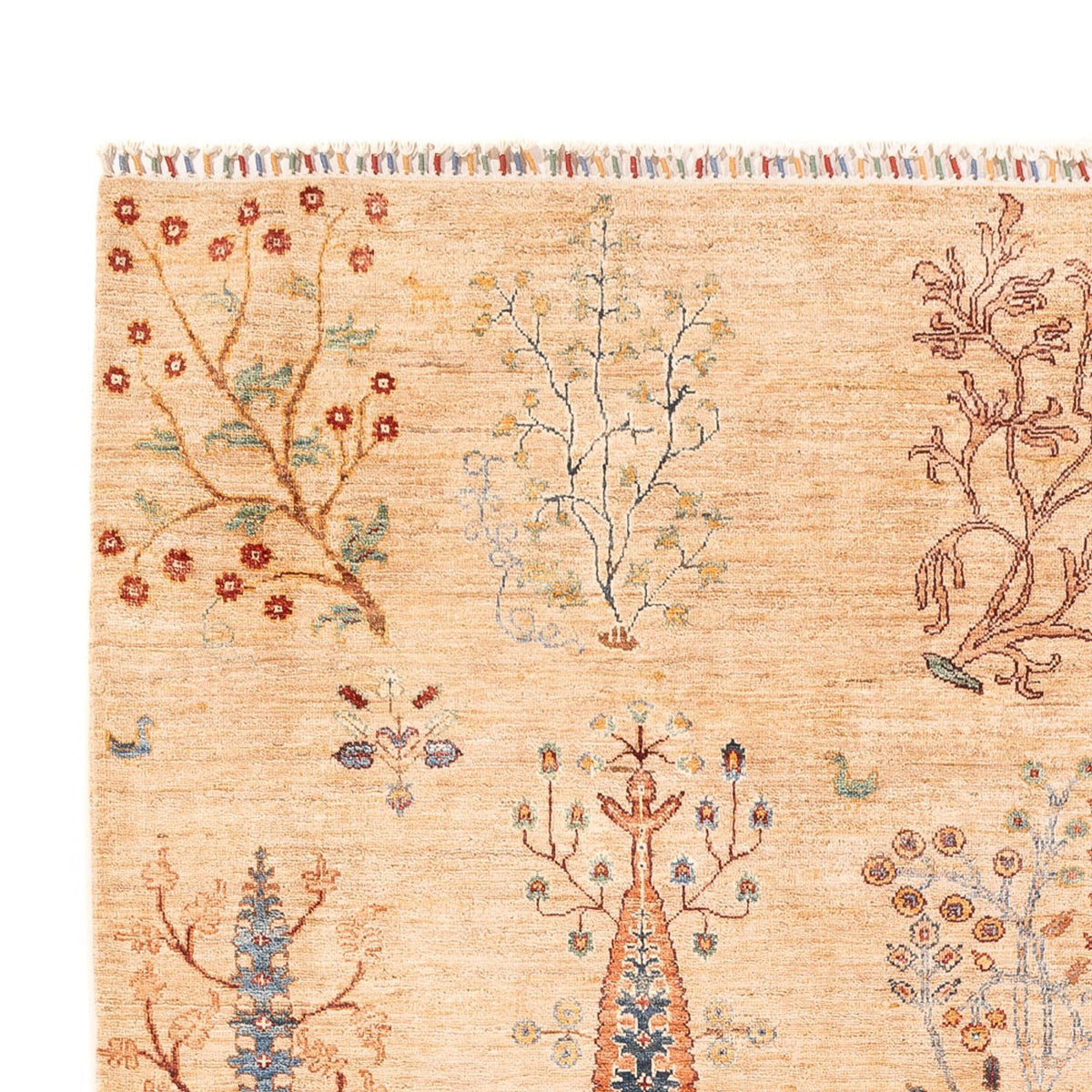 Tapis Ziegler - Ariana - 293 x 206 cm - beige