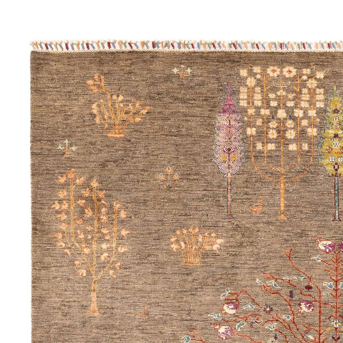 Tapis Ziegler - Ariana - 296 x 205 cm - beige foncé