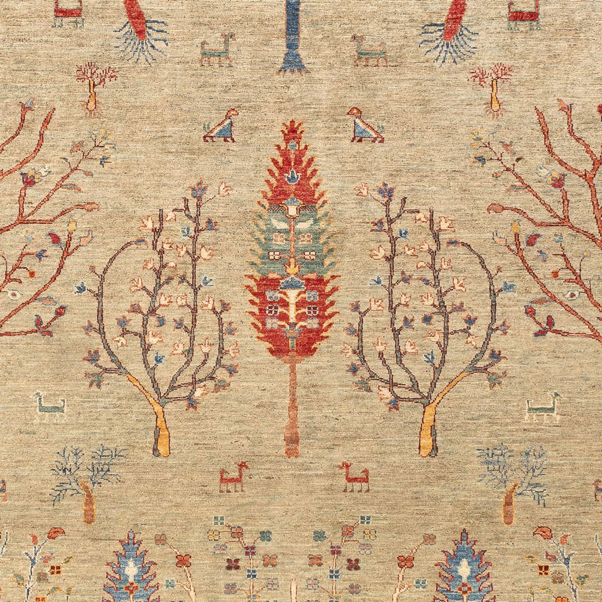 Tapis Ziegler - Ariana - 299 x 210 cm - sable