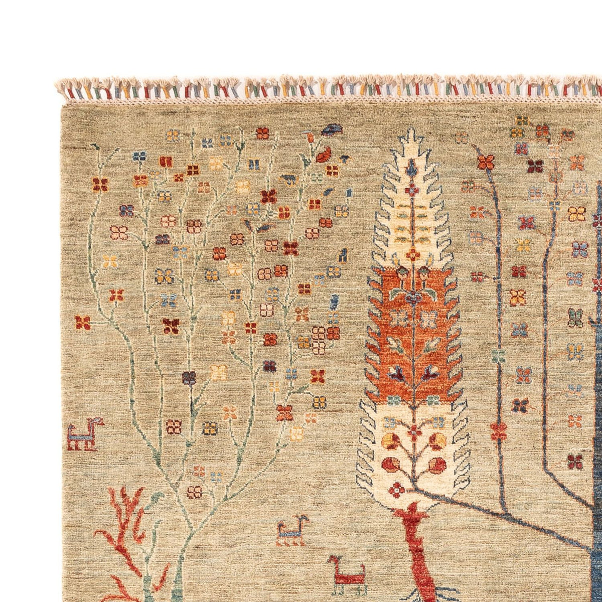 Tapis Ziegler - Ariana - 299 x 210 cm - sable