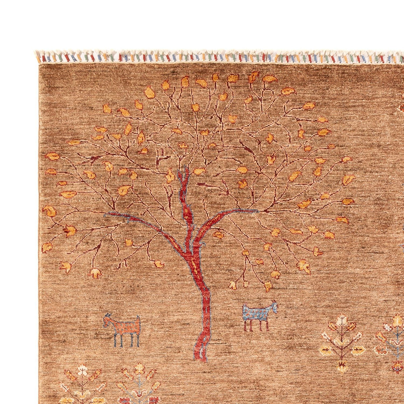 Ariana Tapis 298x206cm - Tapis oriental
