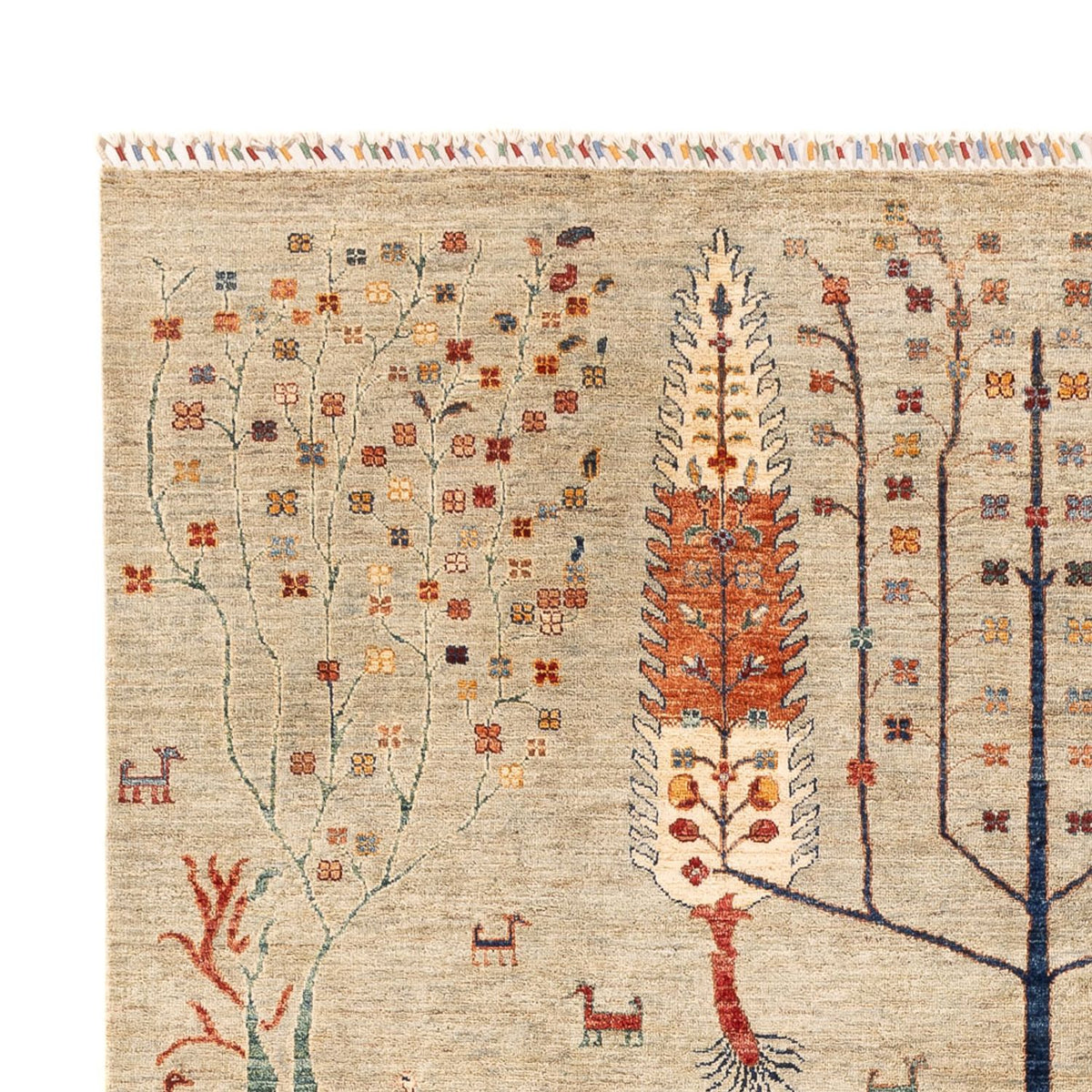 Tapis Ziegler - Ariana - 294 x 204 cm - sable