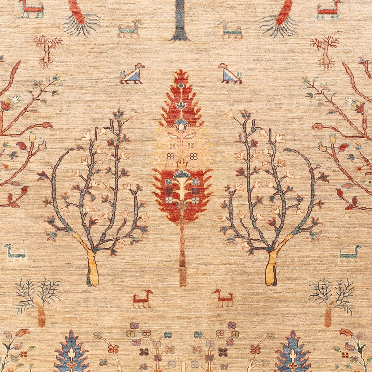 Tapis Ziegler - Ariana - 285 x 207 cm - beige clair