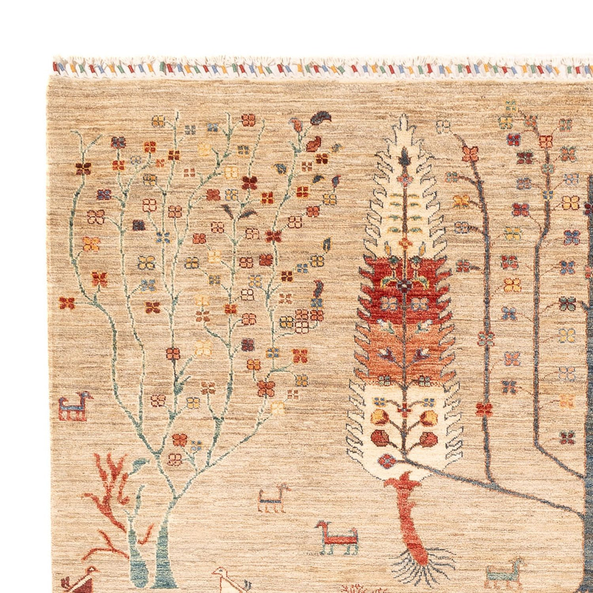 Tapis Ziegler - Ariana - 285 x 207 cm - beige clair