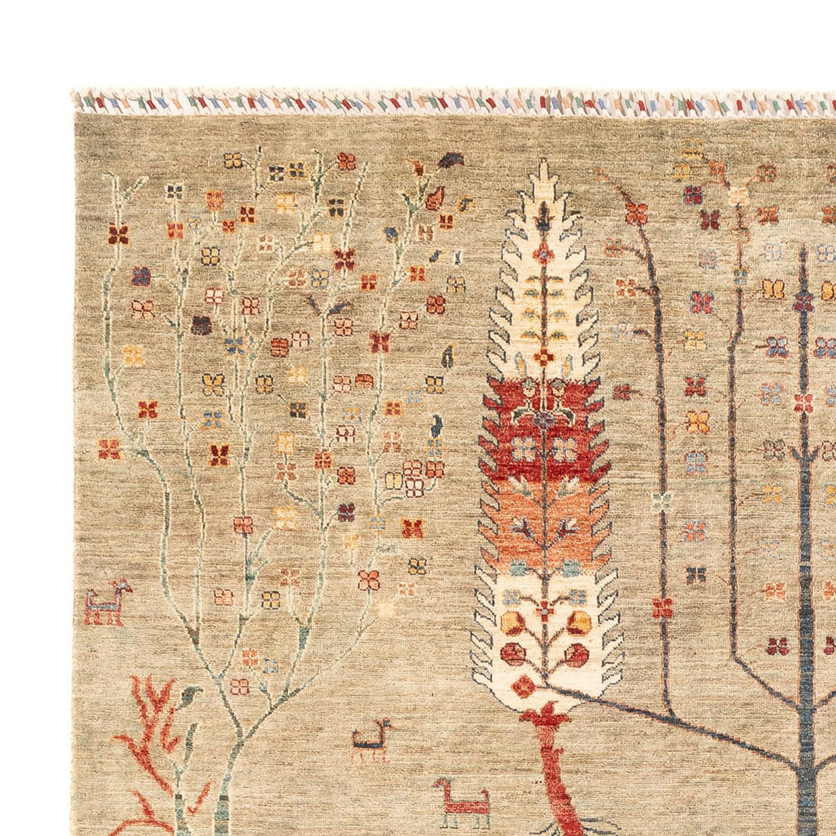 Tapis Ziegler - Ariana - 301 x 205 cm - sable