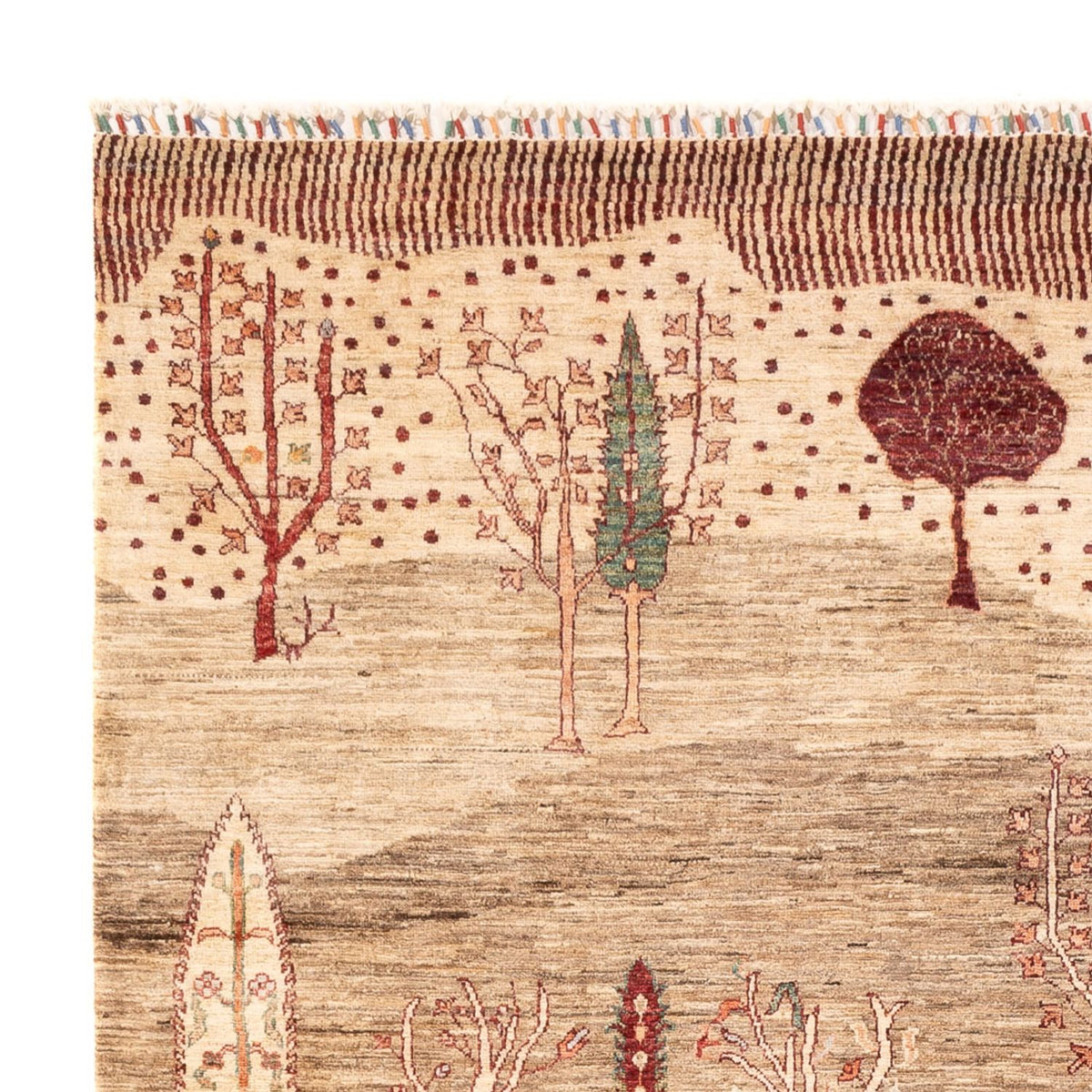 Tapis Ziegler - Ariana - 298 x 202 cm - beige foncé