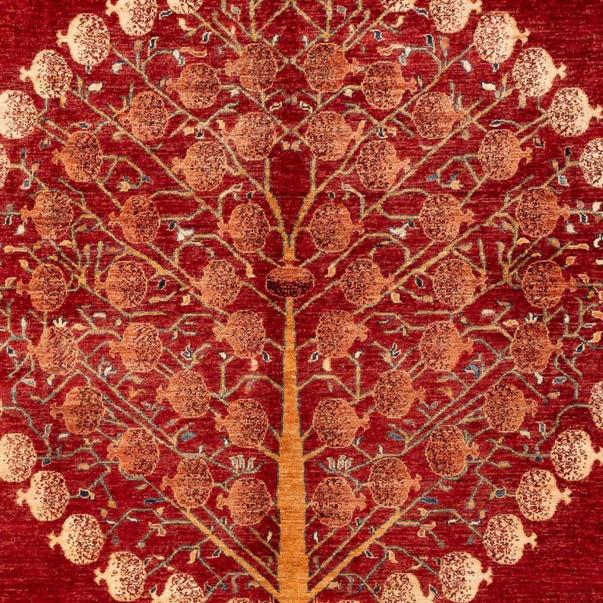 Tapis Ziegler - Ariana - 294 x 207 cm - rouge