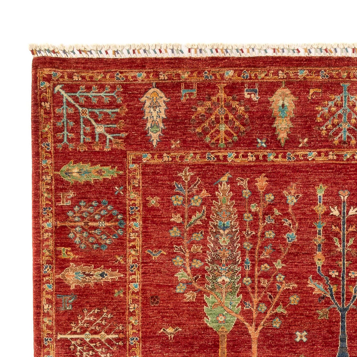 Tapis Ziegler - Ariana - 300 x 204 cm - rouge