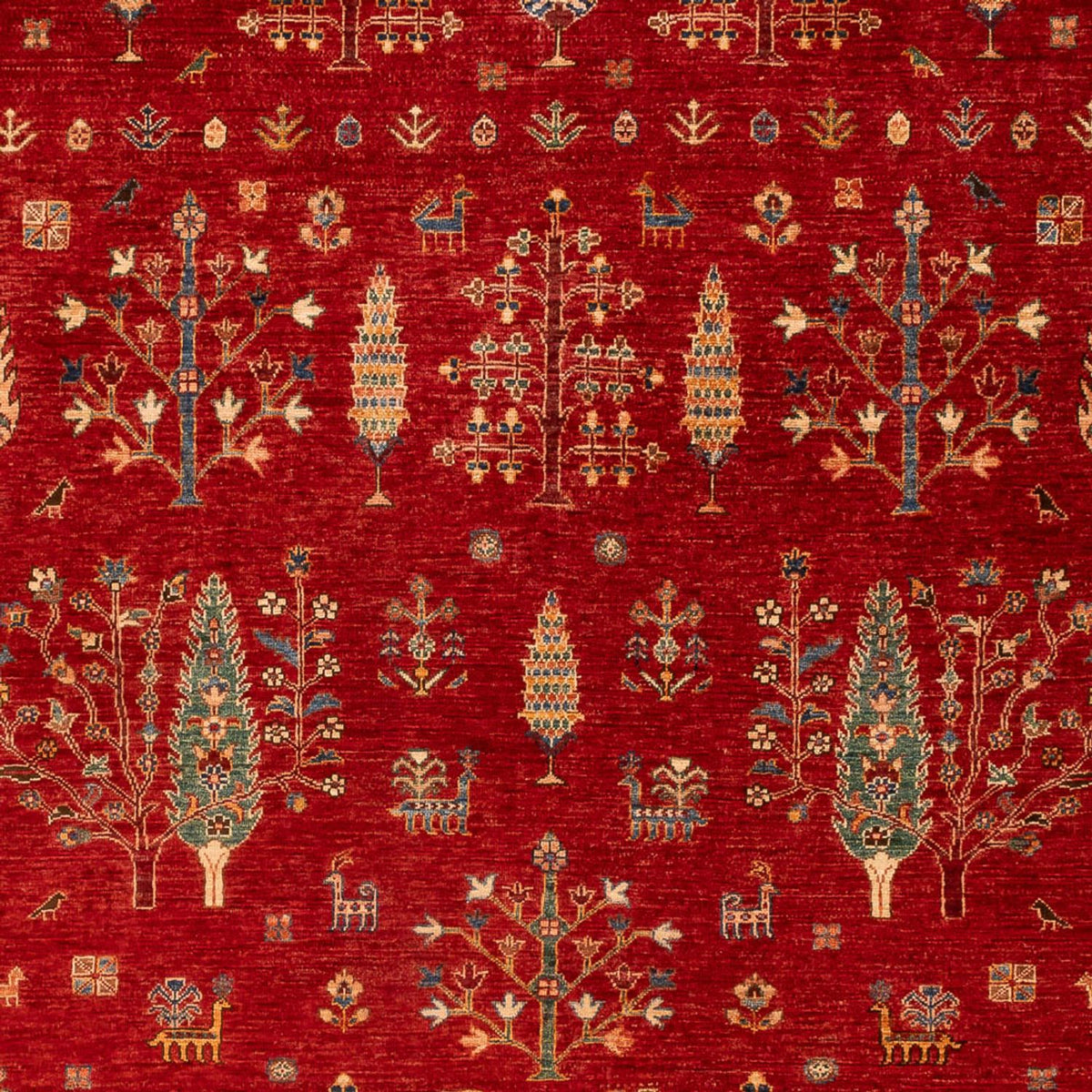 Tapis Ziegler - Ariana - 300 x 206 cm - rouge