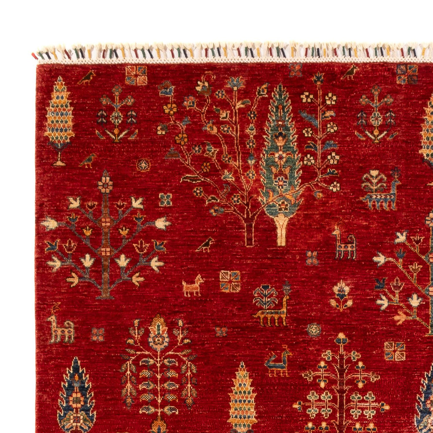 Ariana Tapis 300x206cm - Tapis oriental