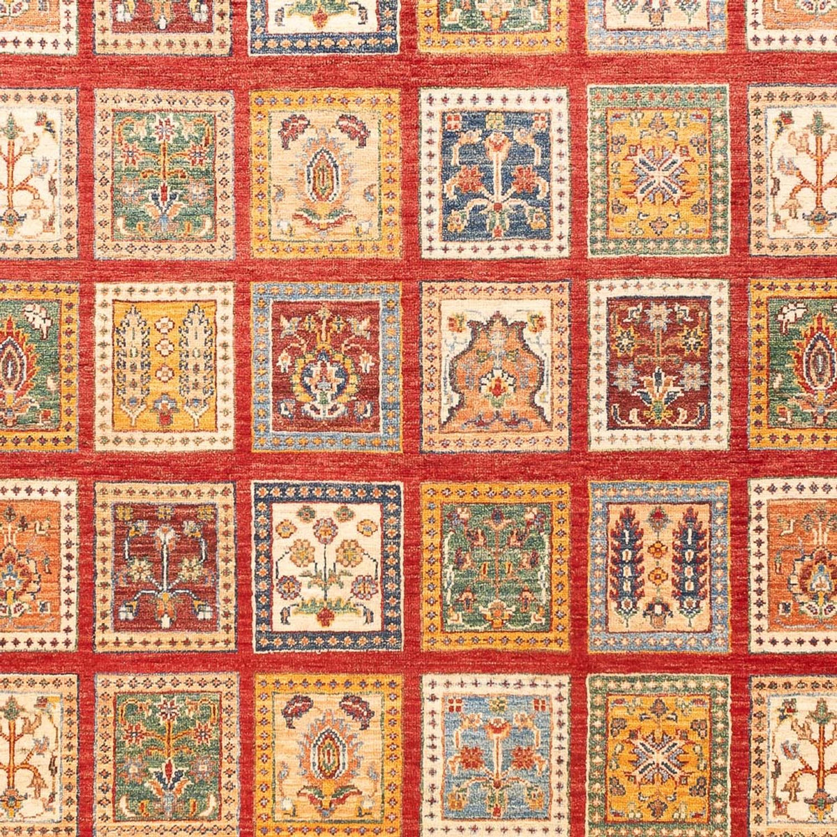 Tapis Ziegler - Bakhtiari - 239 x 169 cm - multicolore