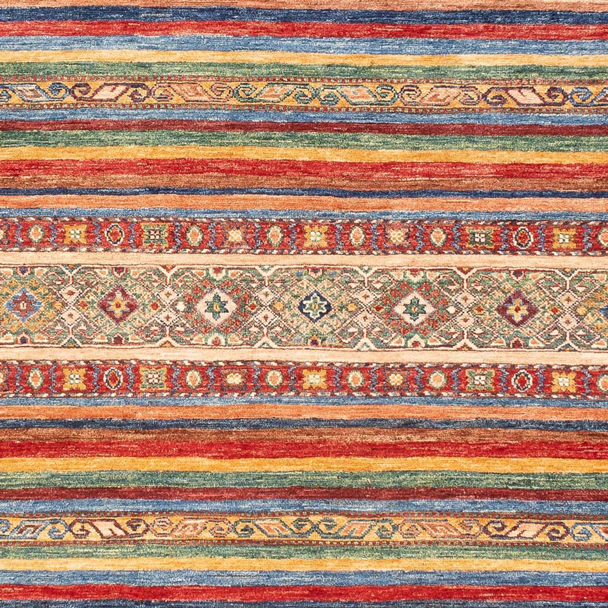 Tapis Ziegler - Shal - 277 x 180 cm - multicolore