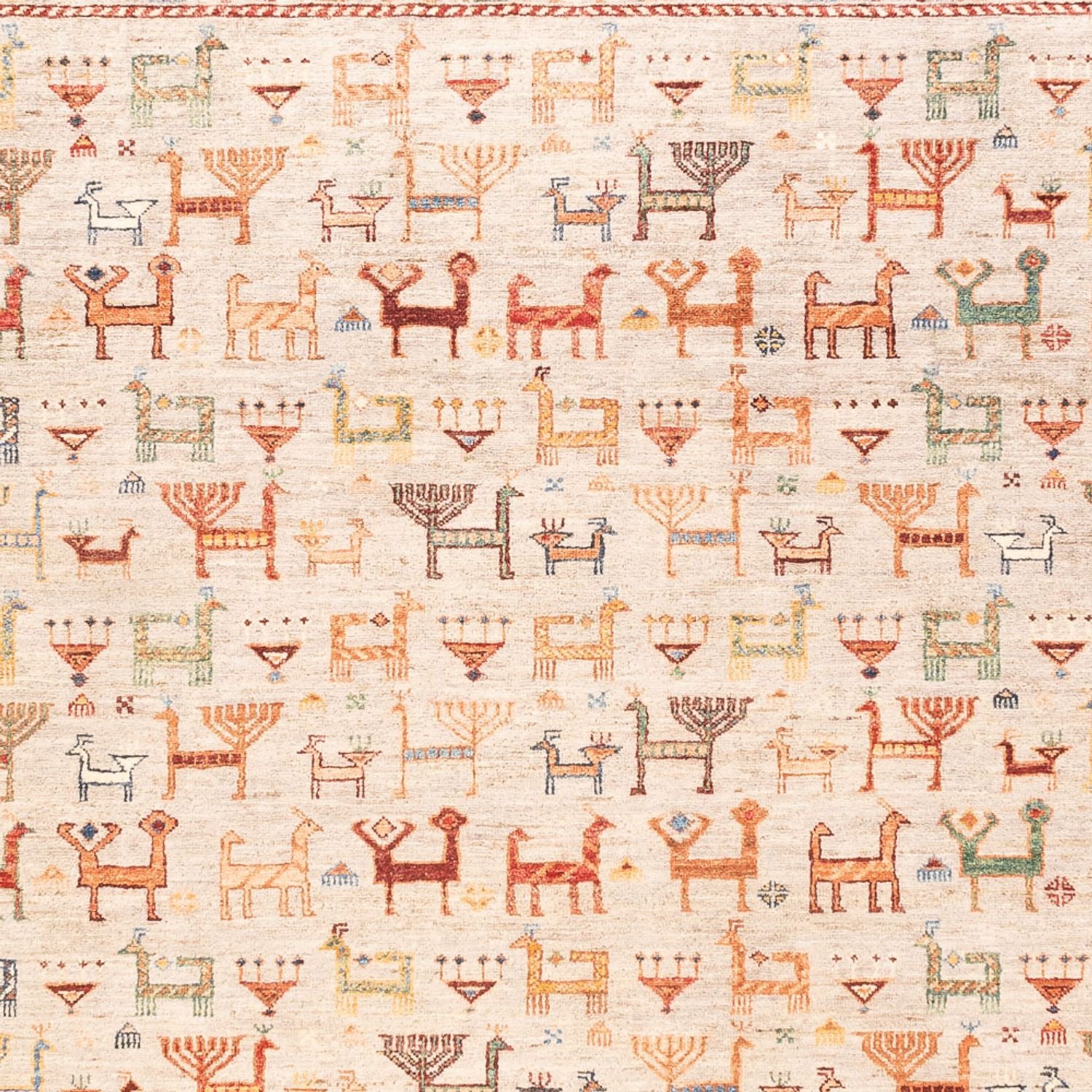 Tapis Ziegler - Ariana - 300 x 207 cm - rose