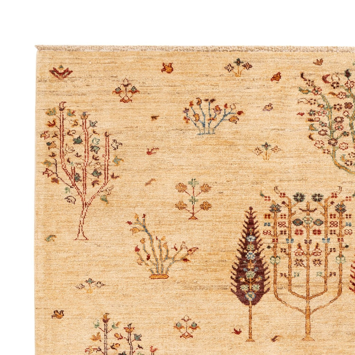 Tapis Ziegler - Ariana - 244 x 173 cm - beige clair
