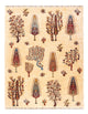 Ariana Tapis 218x170cm - Tapis oriental