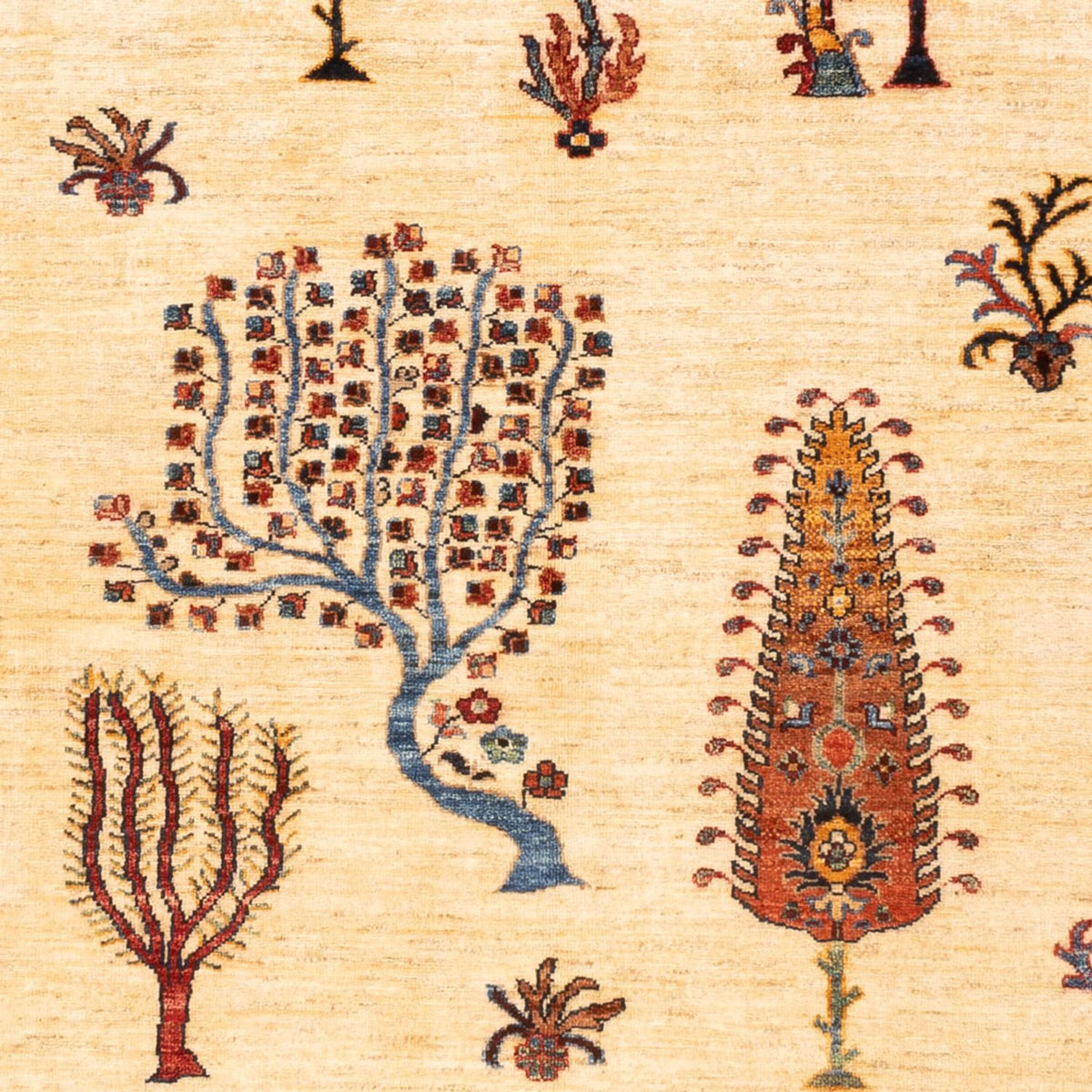 Tapis Ziegler - Ariana - 218 x 170 cm - beige clair