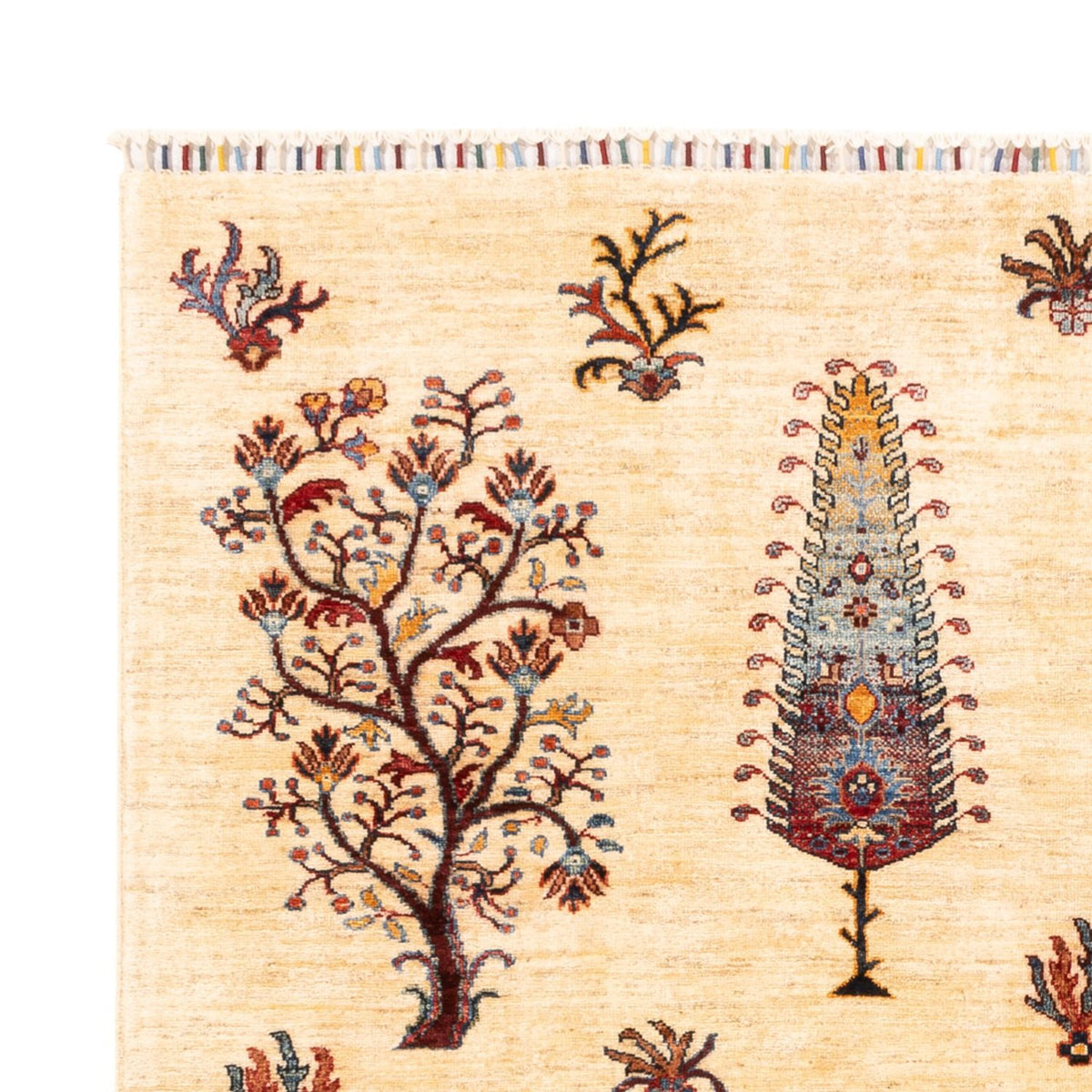 Tapis Ziegler - Ariana - 218 x 170 cm - beige clair