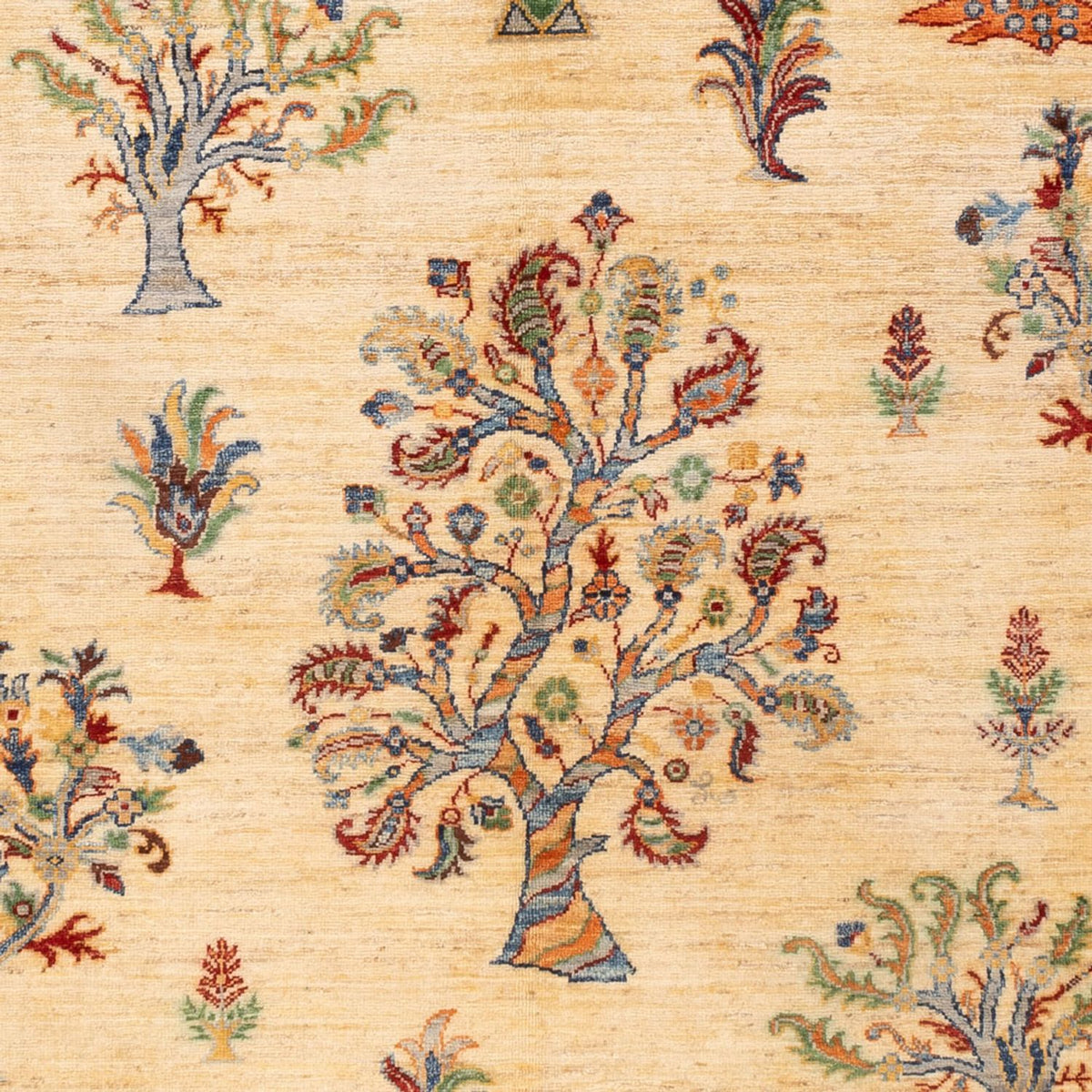 Tapis Ziegler - Ariana - 244 x 172 cm - beige clair