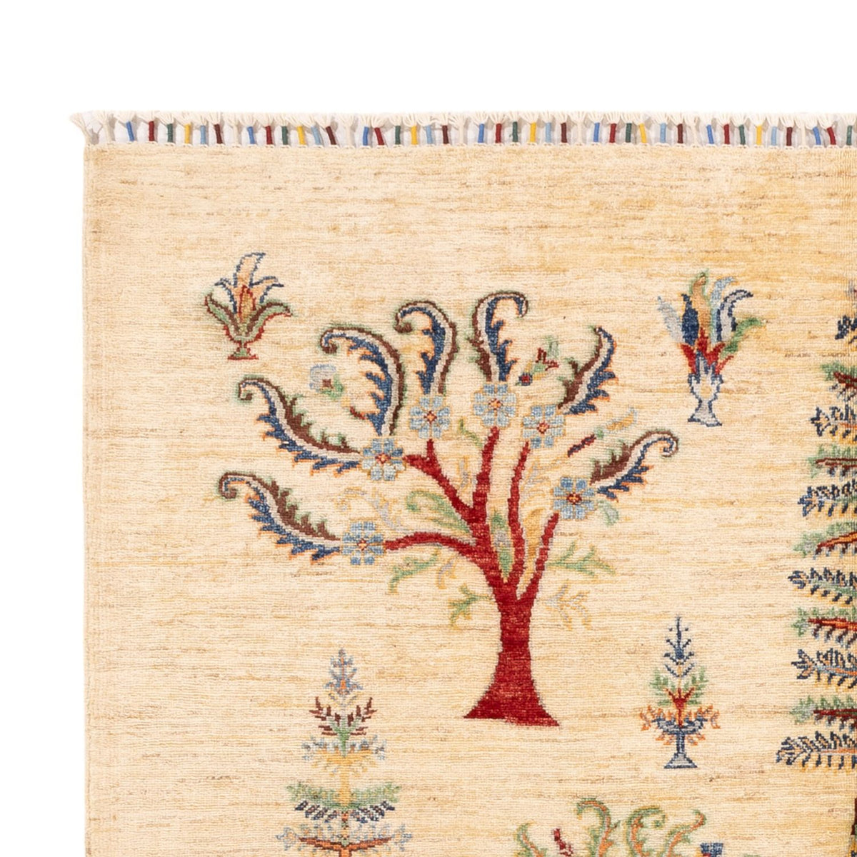 Tapis Ziegler - Ariana - 244 x 172 cm - beige clair